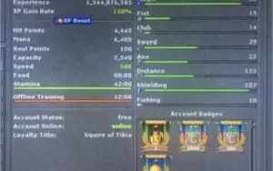 Vendo Royal Paladin lvl 434
