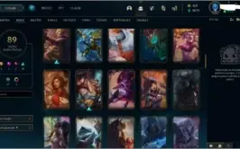 PLATINA FULL CHAMP 90 SKINS
