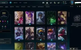 PLATINA FULL CHAMP 90 SKINS