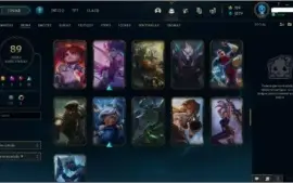 PLATINA FULL CHAMP 90 SKINS