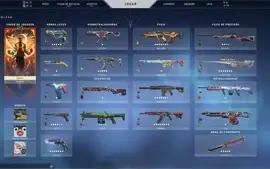 Conta de valorant com muitas skins