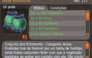 Anel cinto XLII + Botas entomotis