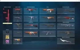 Conta valorant antiga, com skins de passe raras,