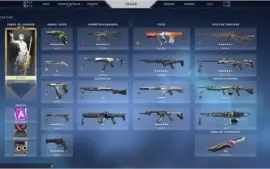 Conta valorant 958 reais gastos