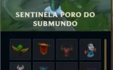 G5  borda gold 170 + skins