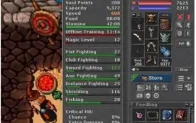 EK 505 DE HAT TOP SKILLS NONPVP (SEM ITENS)