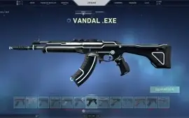 Conta valorant ex-radiante 3400 reais skins