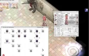 Cavaleira Runica 144 e Invocadora lv 128 build arcana