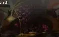 Conta Imortal 7.400 mmr