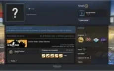 Conta steam LEVEL 33 +8 jogos