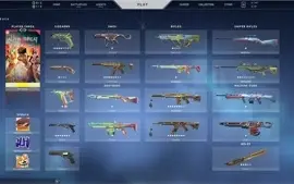 VENDO CONTA VALORANT RADIANT COM SKINS