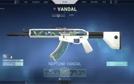 VENDO CONTA VALORANT RADIANT COM SKINS