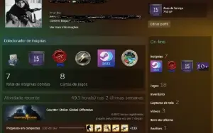 CSGO LVL 20 GC LVL 10 FACEIT 6,8k Horas MEDALHA DE 10 ANOS