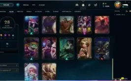 Conta league of legends 86 champs ,28 skins !