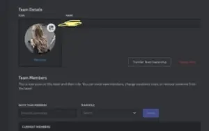 Bot desenvolvedor ativo (faça de 100 R$ até 1000 ou mais!)