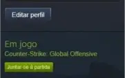 CONTA GLOBAL - 300 HORAS,92 WINS,100+ELOGIOS *LVL 17 STEAM*