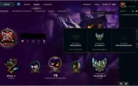 Conta Platina V