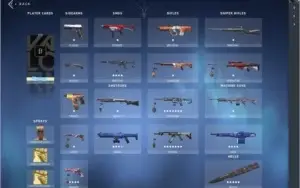 Conta valorant BETA + 4 passes e skins compradas na loja