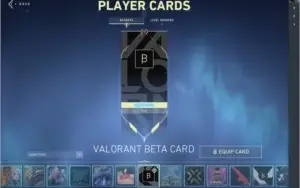 Conta valorant BETA + 4 passes e skins compradas na loja
