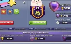 CV 14 TOP