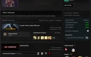 CONTA STEAM 16 ANOS + CSGO PRIME + 1000 HORAS DE CSGO