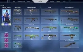 Conta Valorant com Skin Vandal Sublime