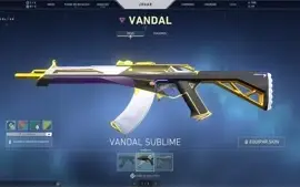 Conta Valorant com Skin Vandal Sublime
