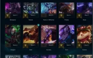 conta lol level 30 unranked