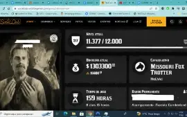 Vendo Conta Especial "Red Dead 2 Online" 