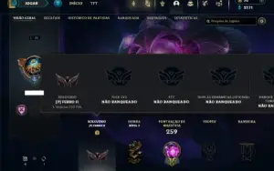 Ferro 2 com 95 Champs e 39 Skins