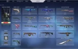 Conta valorant (1050 reais gastos!)