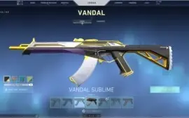 Conta Valorant - + 800 reais gasto