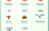 Conta Pokémon GO lvl 21 São Paulo
