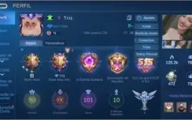 CONTA MOBILE LEGENDS COM 90 HEROIS E 10K DE PARTIDAS