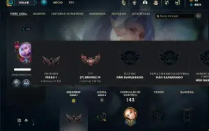 Ferro 1 com 80 Champs e 100 Skins + 72 Cromas ( MAIN SUP )