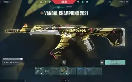 Conta Valorant Quase 1k Gasto (988,00)