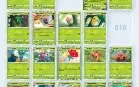 Pokémon TCG Pocket