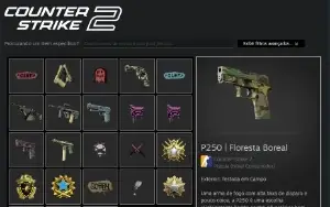 Conta Steam 9 Anos Csgo Medalhas