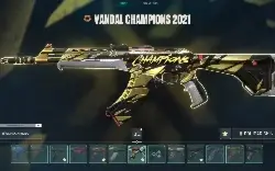 Conta Champions Rara