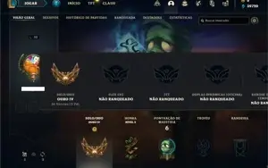 Conta ouro 4 com 23 Champs e 13 Fragmentos de skins
