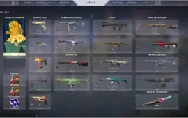 VENDO CONTA DO VALORANT/LOL