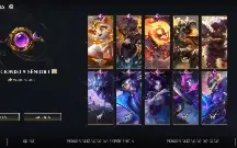 Conta Wild Rift