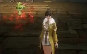 CONTA MIR4 COM PET ÉPICO - PERSONAGEM NV45 41K POWER