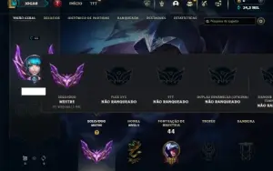 Mestre com 35 Champs e 3 Skins + 12 Fragmentos