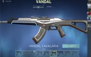 Conta de vava cheia de skin no preço