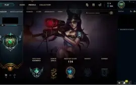 CONTA PLATINA 4 ,37 champs,9 skins