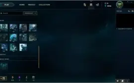 CONTA PLATINA 4 ,37 champs,9 skins