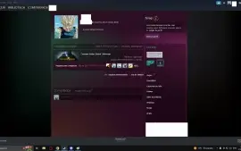 Conta Cs Go Quase 1K Horas 1 ano de steam com PRIME