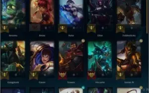 conta platina 1