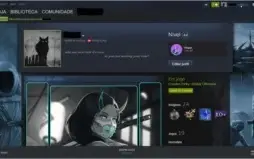 CONTA STEAM NIVEL 44 - CSGO AGUIA-2 E LVL 14 GC